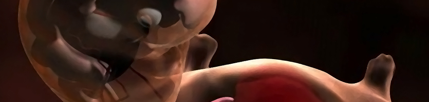 "Die Reise des Embryos geht weiter" – Animation